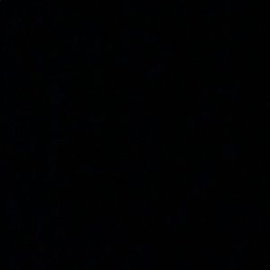 Meet your Posher, Avah